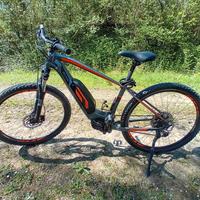 E-bike, Olmo
