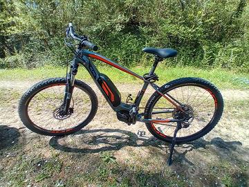 E-bike, Olmo