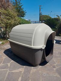 cuccia per cani 
