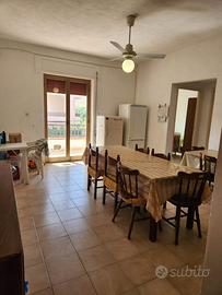 Disponibile da subito