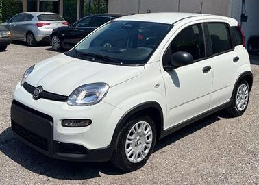 Fiat Panda 1.0 FireFly S&S Hybrid AUTO A NOLEGGIO