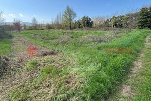 Rustico/Casale/Corte Pistoia [Cod. rif 3302831VCG]