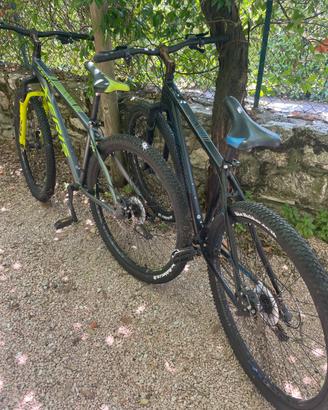 2 Mountain Bike Xeris 29" – Taglie M e L (anche si