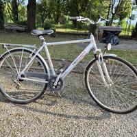 bicicletta da uomo