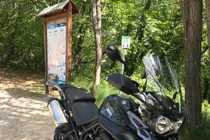 Triumph Tiger 800 xr ABS