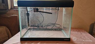 acquario per pesci