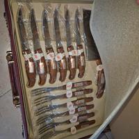 Coltelli da cucina professionali svizzeri