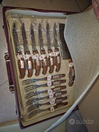 Coltelli da cucina professionali svizzeri