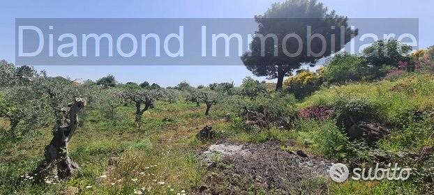 Terreno agricolo 3.200mq zona doc a castiglione - Vista 4