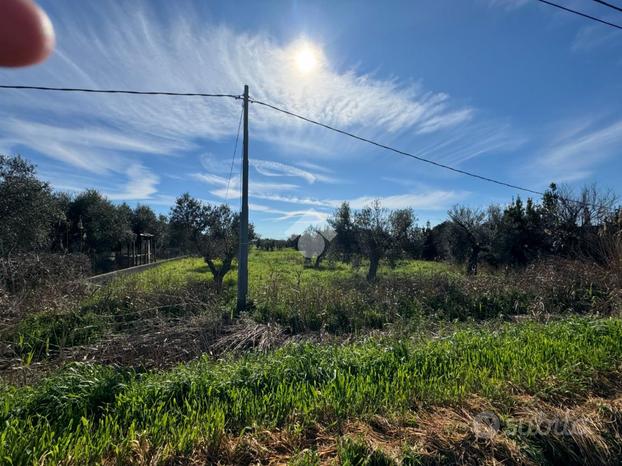 RUSTICO A TERRACINA