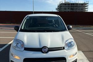 Fiat panda Hybrid