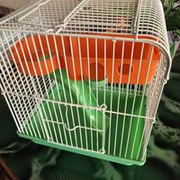 gabbietta per criceti!