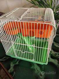 gabbietta per criceti!