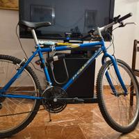 Mountain Bike Douglas "Freedom"