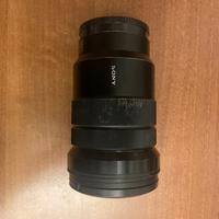 Sony G 18-105mm f4 OSS