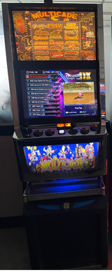 Multigioco 2 giocatori