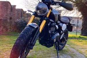 Trimph scrambler