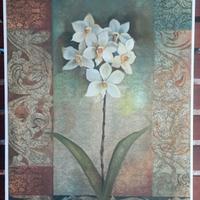 6 Stampe floreali in stile con cornice 40x50