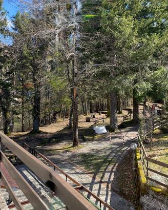 Appartamento - Rezzoaglio