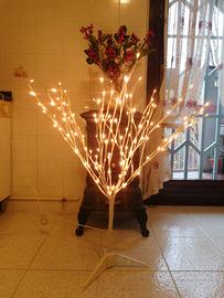 ALBERELLO BIANCO MILLE LUCI