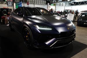 Ursu performante