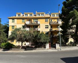 Ampio e con garage in viale Sardegna