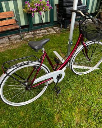 Bicicletta da donna con cestino
