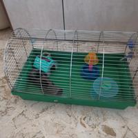 gabbia per criceti