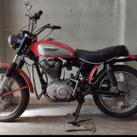 Ducati scrambler 350