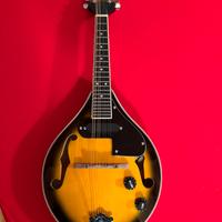 Mandolino amplificabile