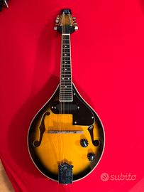 Mandolino amplificabile