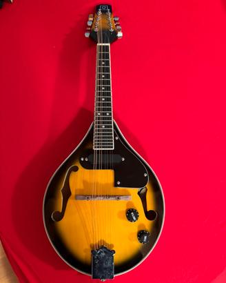 Mandolino amplificabile