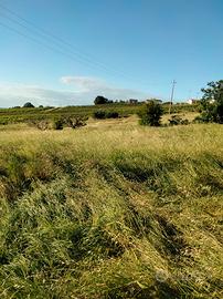 Terreno/ attrezzaia