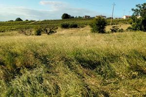 Terreno/ attrezzaia
