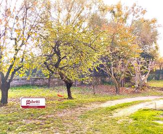 Appartamento Avezzano [AZ22058VRG]