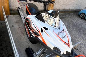 Motoslitta Arctic Cat M8 sno pro
