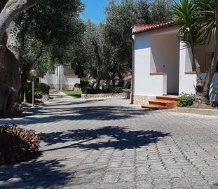 Vieste last min dal 8al15 agosto