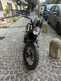 Triumph Scrambler 900 come nuova