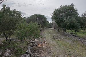 Terreno rustico in agro di Martina Franca