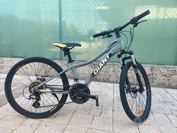 Giant XTC 24 Disc
