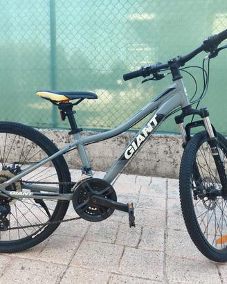 Giant XTC 24 Disc