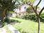 Immagine 21