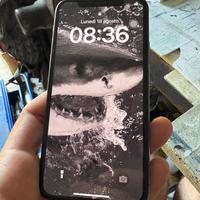 iPhone 11 Pro 256 gb