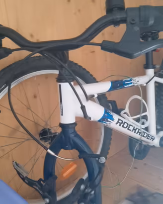 Bici raggio 20