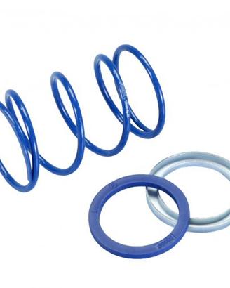 Molla contrasto Evo Slider Polini 243092 per scoot