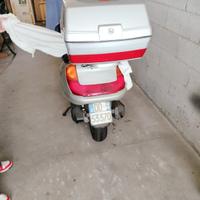 scoter