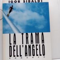 Romanzo La trama dell'angelo