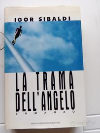 Romanzo La trama dell'angelo