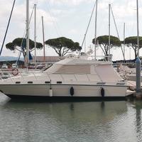 Piantoni ondazzurra fly 33