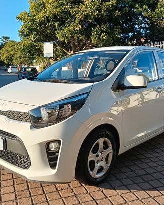 Kia Picanto 1.0 12V 5 porte Urban 2023